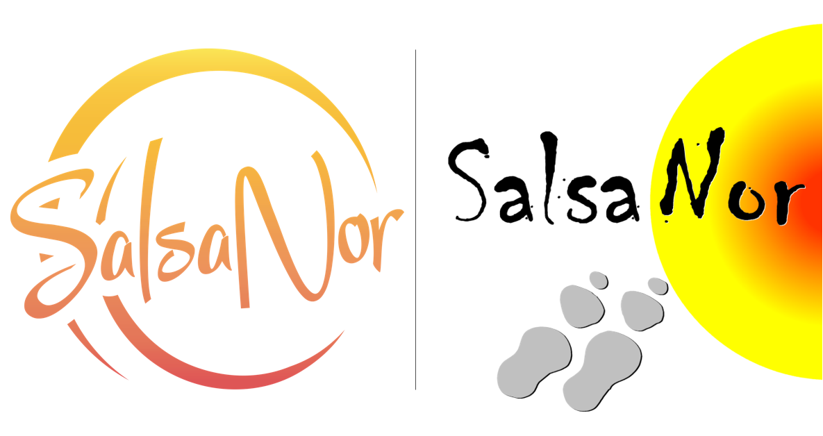 Danseglede siden 1999 – SalsaNor fyller 20 år